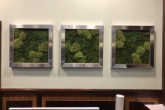 Moss-Wall-Panels-Marriott