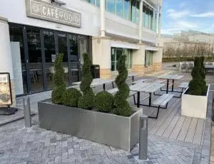 Topiary Plant Displays